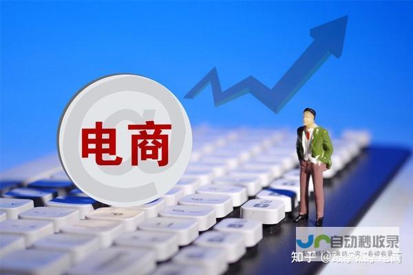 打造专属电商帝国：全面掌控您的电商网站开发平台