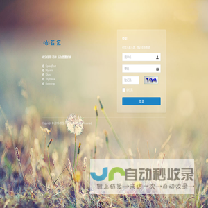 登录若依系统
